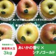 画像3: ※数量限定※ デカデカ！葉とらずあいかの香り×シナノゴールド （一玉約500g）≪送料込≫ (3)