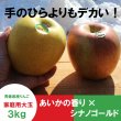 画像2: ※数量限定※ デカデカ！葉とらずあいかの香り×シナノゴールド （一玉約500g）≪送料込≫ (2)