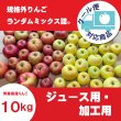 画像1: ジュース用・加工用りんご 〜ふぞろいのりんごたち〜 10kg ≪送料込≫ (1)