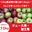 画像2: ジュース用・加工用りんご 〜ふぞろいのりんごたち〜 10kg ≪送料込≫ (2)