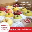 画像1: 【ネット限定】何が入るかお楽しみ！「新春美人箱♡〜2025〜」≪送料込≫ (1)