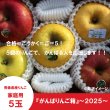 画像1: 【ネット限定】春に向かって頑張るあなたへ『がんばりんご箱』〜2025〜≪送料込≫ (1)