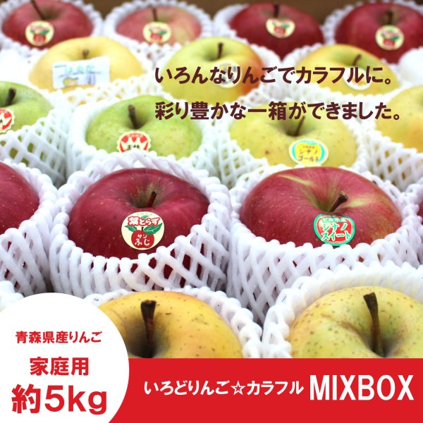 画像1: ※数量限定※ いろとりどりんご☆カラフルミックスBOX　家庭用 ５kg ≪送料込≫ (1)