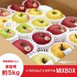 画像2: ※数量限定※ いろとりどりんご☆カラフルミックスBOX　家庭用 ５kg ≪送料込≫ (2)