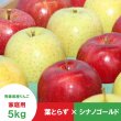 画像1: 【ミックスセット】葉とらずサンふじ＆シナノゴールド　贈答用　５kg ≪送料込≫ (1)