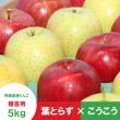 画像1: ※12月上旬発送※【ミックスセット】葉とらずサンふじ＆こうこう　贈答用　５kg ≪送料込≫ (1)