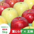 画像1: ※12月上旬発送※【ミックスセット】葉とらずサンふじ＆王林　贈答用　５kg ≪送料込≫ (1)