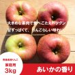 画像1: ※11月下旬発送※ あいかの香り(葉とらず)　家庭用　３kg （約8-11個）≪送料込≫ (1)