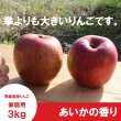 画像4: ※11月下旬発送※ あいかの香り(葉とらず)　家庭用　３kg （約8-11個）≪送料込≫ (4)