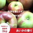 画像2: ※11月下旬発送※ あいかの香り(葉とらず)　家庭用　３kg （約8-11個）≪送料込≫ (2)