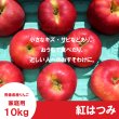 画像2: 紅はつみ　家庭用　１０kg（約24-40個）≪送料込≫ (2)