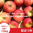 画像2: 紅はつみ　訳あり　１０kg（約40個程度）≪送料込≫ (2)