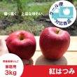 画像1: 紅はつみ　家庭用　３kg（約7-12個）≪送料込≫ (1)