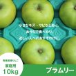 画像2: 【調理向き】 ブラムリー家庭用　１０kg（約20個）≪送料込≫ (2)