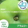 画像1: 【調理向き】 ブラムリー家庭用　１０kg（約20個）≪送料込≫ (1)