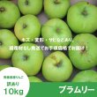 画像2: 【調理向き】 ブラムリー　 訳あり　１０kg（約28〜36個）≪送料込≫ (2)