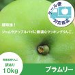 画像1: 【調理向き】 ブラムリー　 訳あり　１０kg（約28〜36個）≪送料込≫ (1)