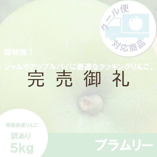 画像1: 【調理向き】 ブラムリー　訳あり　５kg（約13〜18個）≪送料込≫ (1)