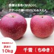 画像3: ※10月下旬発送※ 千雪　訳あり　１０kg（約40個前後）≪送料込≫ (3)