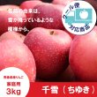 画像1: ※10月下旬発送※ 千雪　家庭用　３kg（約9-12個）≪送料込≫ (1)