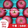 画像2: 千雪　贈答用　３kg ≪送料込≫ (2)