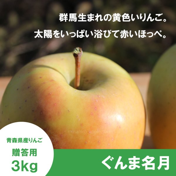 画像1: ぐんま名月　贈答用　３kg ≪送料込≫ (1)