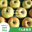 画像2: ※11月上旬発送※ ぐんま名月　家庭用　５kg（約12-20個）≪送料込≫ (2)