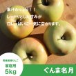 画像3: ※11月上旬発送※ ぐんま名月　家庭用　５kg（約12-20個）≪送料込≫ (3)