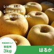 画像1: ※11月下旬〜12月上旬発送※ はるか　家庭用　 ３kg（約9-12個）≪送料込≫ (1)