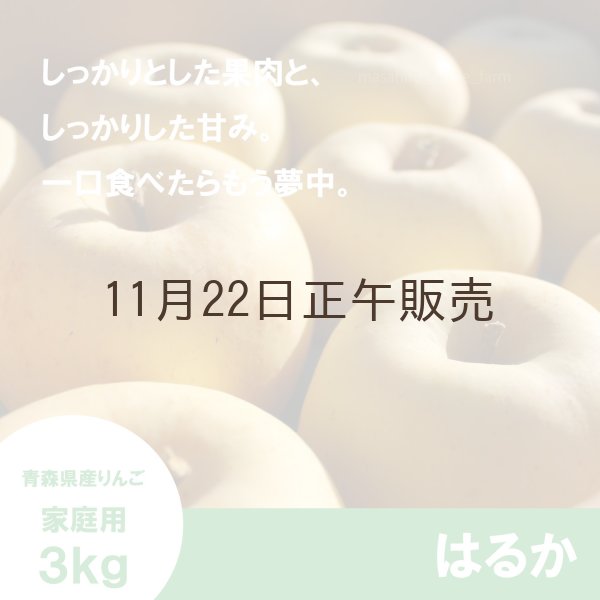 画像1: ※11月下旬〜12月上旬発送※ はるか　家庭用　 ３kg（約9-12個）≪送料込≫ (1)