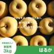 画像2: ※11月下旬〜12月上旬発送※ はるか　家庭用　 ３kg（約9-12個）≪送料込≫ (2)