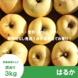 画像2: ※11月下旬〜12月上旬発送※ はるか　訳あり　３kg（約10個程度）≪送料込≫ (2)