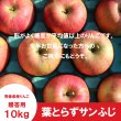 画像2: ※12月上旬発送※ 葉とらずサンふじ　贈答用　１０kg ≪送料込≫ (2)