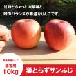 画像3: ※12月上旬発送※ 葉とらずサンふじ　贈答用　１０kg ≪送料込≫ (3)