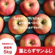 画像2: ※12月上旬発送※ 葉とらずサンふじ　贈答用　５kg ≪送料込≫ (2)