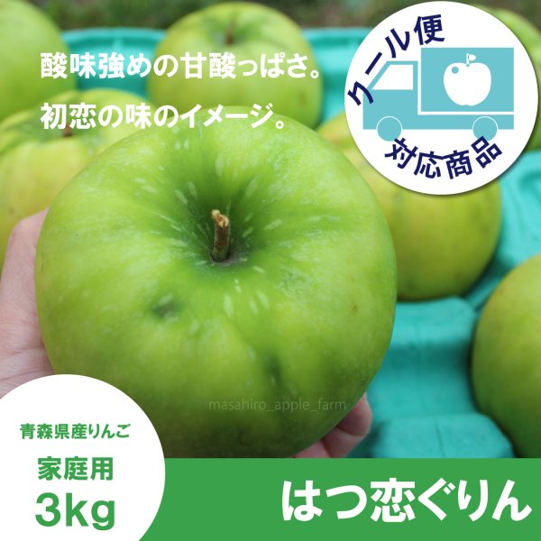 画像1: 【調理向き】 はつ恋ぐりん　家庭用　3kg（約9〜12個）≪送料込≫ (1)