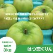 画像3: 【調理向き】 はつ恋ぐりん　家庭用　3kg（約9〜12個）≪送料込≫ (3)