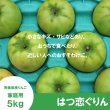 画像2: 【調理向き】 はつ恋ぐりん　家庭用　５kg（約14〜20個）≪送料込≫ (2)