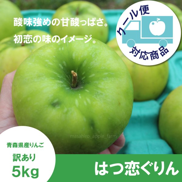 画像1: 【調理向き】 はつ恋ぐりん　訳あり　５kg（約20個）≪送料込≫ (1)