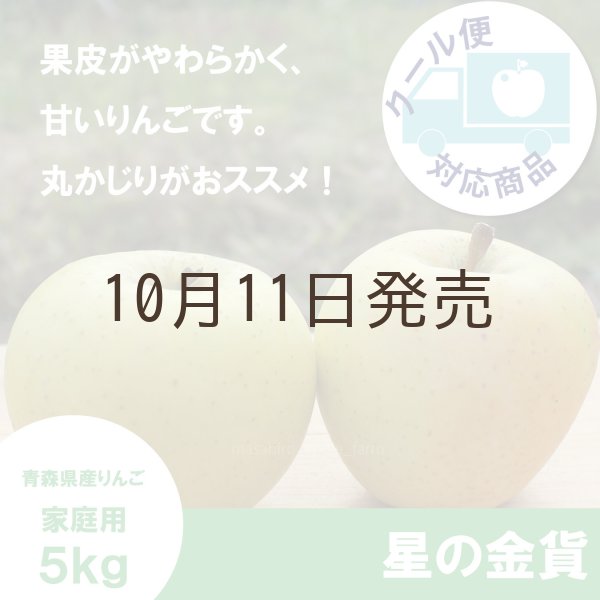 画像1: ※11月上旬発送※ 星の金貨　家庭用　５kg（約14-20個）≪送料込≫ (1)