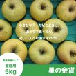 画像2: ※11月上旬発送※ 星の金貨　家庭用　５kg（約14-20個）≪送料込≫ (2)