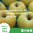 画像3: ※11月上旬発送※ 星の金貨　家庭用　５kg（約14-20個）≪送料込≫ (3)