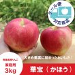 画像1: 華宝 -かほう-　家庭用　３kg（約6-8個）≪送料込≫ (1)