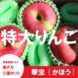 画像2: ※数量限定※ 華宝 -かほう-　鬼デカ３個セット（一玉約800g）≪送料込≫ (2)