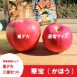 画像3: ※数量限定※ 華宝 -かほう-　鬼デカ３個セット（一玉約800g）≪送料込≫ (3)