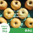 画像2: ※11月下旬〜12月上旬発送※ きみと　家庭用　３kg （約9-11個）≪送料込≫ (2)