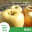 画像1: ※11月下旬〜12月上旬発送※ きみと　家庭用　３kg （約9-11個）≪送料込≫ (1)