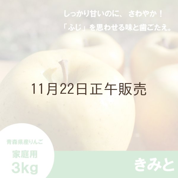 画像1: ※11月下旬〜12月上旬発送※ きみと　家庭用　３kg （約9-11個）≪送料込≫ (1)