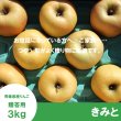 画像2: ※11月下旬〜12月上旬発送※ きみと　贈答用　３kg （約9-11個）≪送料込≫ (2)