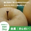 画像1: ※11月下旬〜12月上旬発送※ 金星　贈答用 ３kg （約7-12個）≪送料込≫ (1)